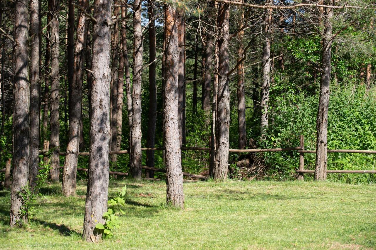 Timber Valley *